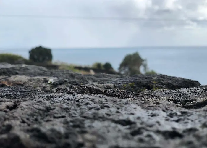 Casa de Férias Casa Avó Amélia *